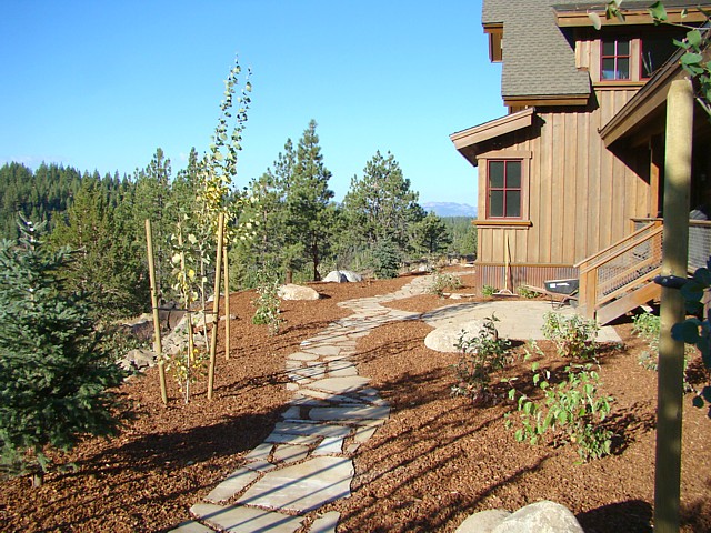 Stepping stone walkway.
